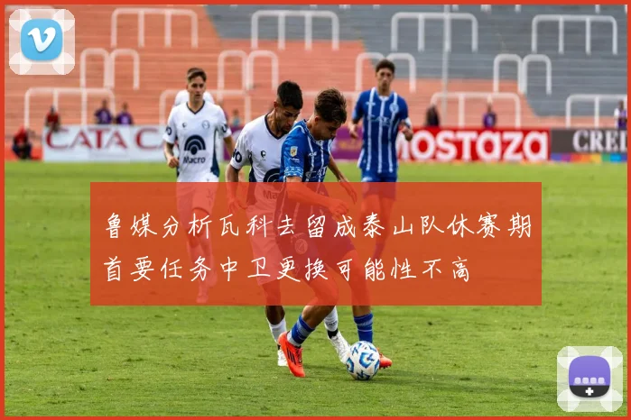 鲁媒分析瓦科去留成泰山队休赛期首要任务中卫更换可能性不高